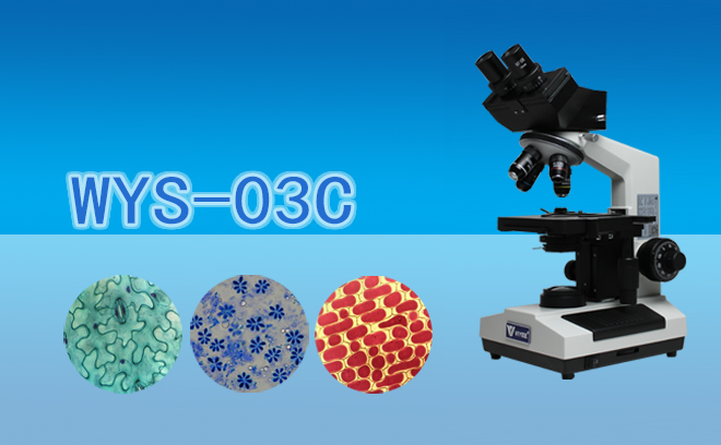 三目生物显微镜WYS-03C