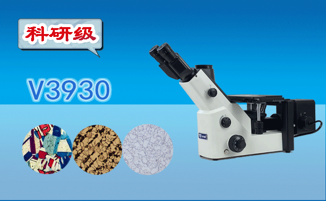 上海海洋大学携手微仪V3900系列倒置金相显微镜，推进本···