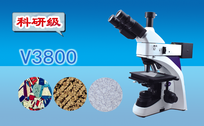 1767840851694191.png 金相显微镜.png