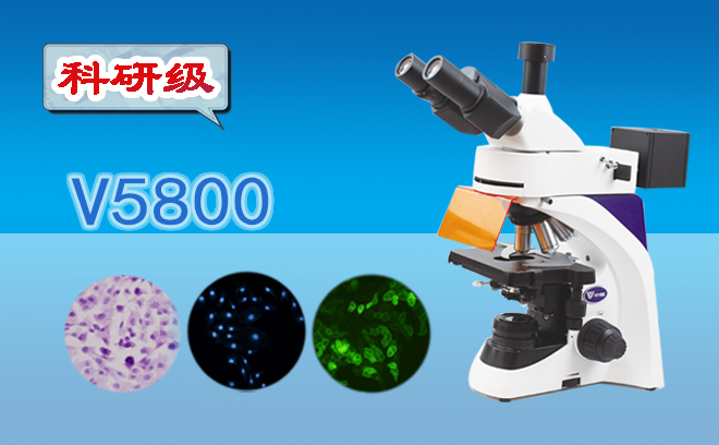 科研级三目荧光显微镜V5800