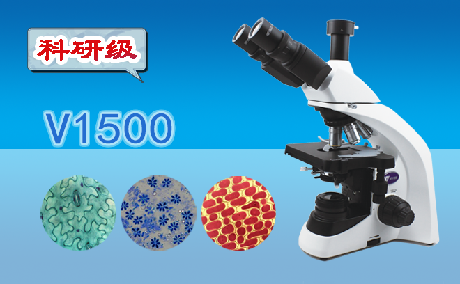 三目生物显微镜V1500