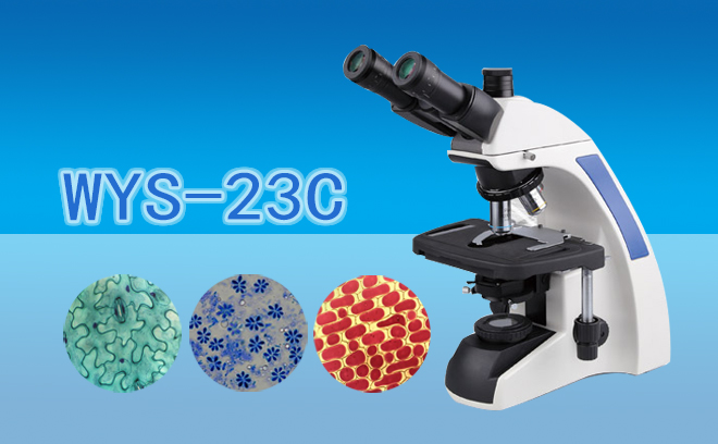 三目生物显微镜WYS-23C