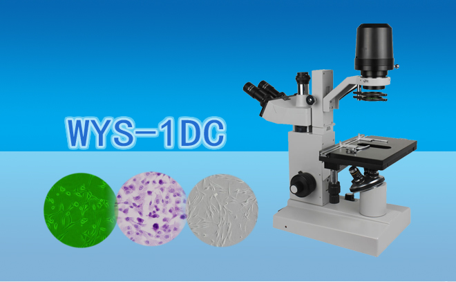 三目倒置生物显微镜WYS-1DC