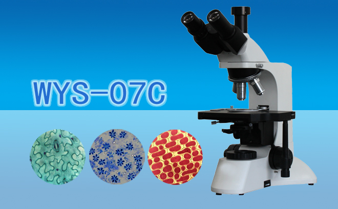 三目生物显微镜WYS-07C
