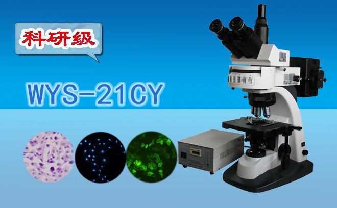科研级三目荧光显微镜WYS-21CY