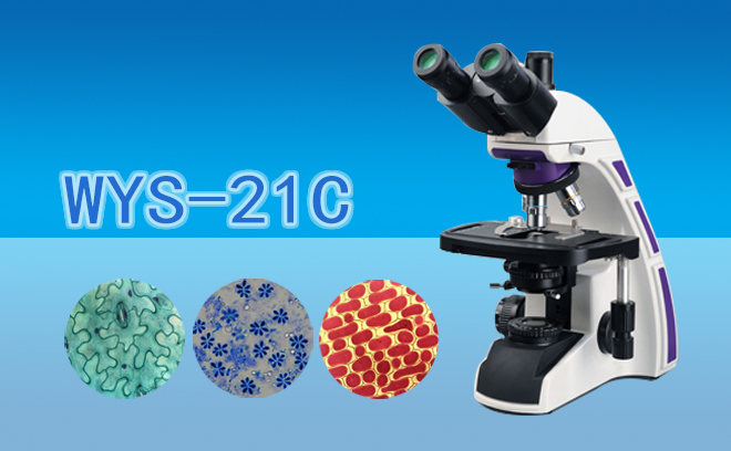 科研级三目生物显微镜WYS-21C