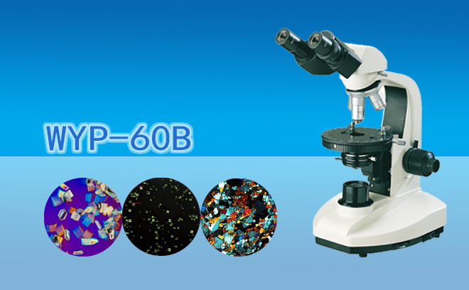 双目简易偏光显微镜WYP-60B