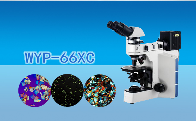 透反射偏光显微镜WYP-66XC