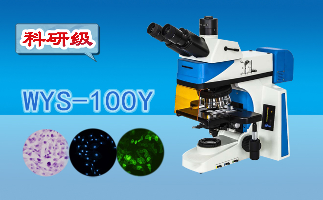 科研级三目荧光显微镜WYS-100Y