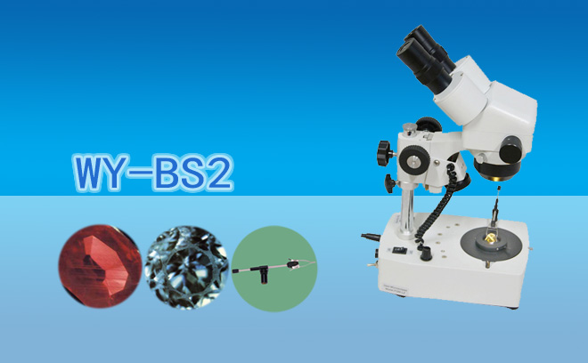 宝石显微镜WY-BS2