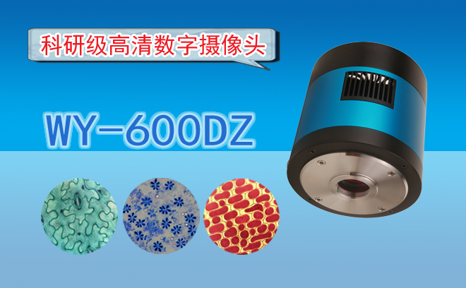 高清CCD数字摄像头WY-600DZ