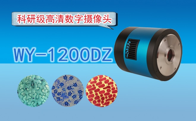 高清CCD数字摄像头WY-1200D···
