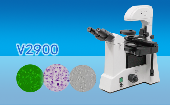 三目倒置生物显微镜V2900